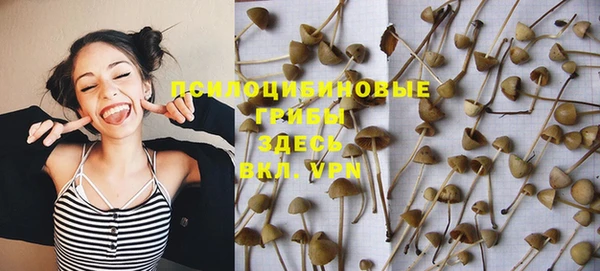 прущие грибы Абаза