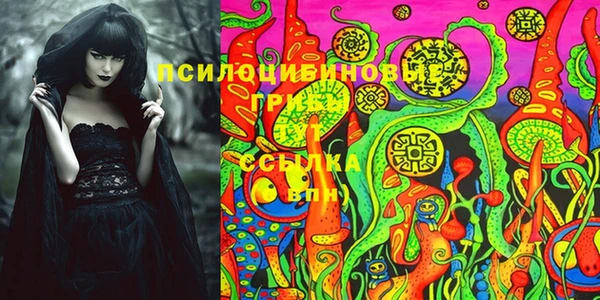 прущая мука Пересвет