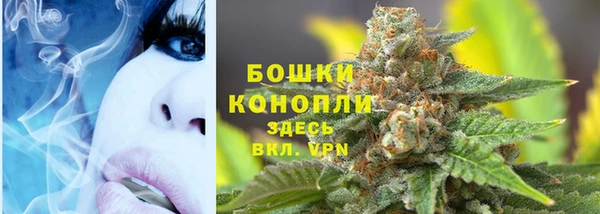 прущая мука Пересвет