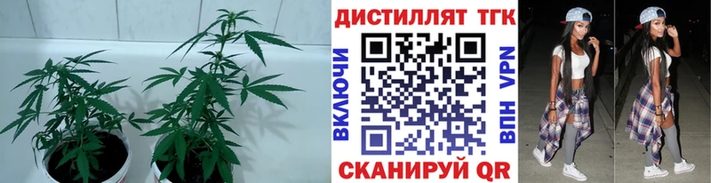 ТГК гашишное масло  наркотики  Соликамск 