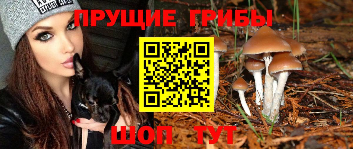 Галлюциногенные грибы прущие грибы  наркотики  Соликамск  Вход с VPN 