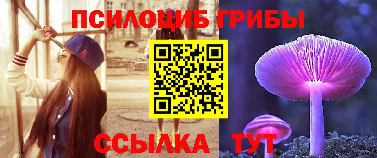 Псилоцибиновые грибы прущие грибы  Соликамск  Псилоцибиновые грибы прущие грибы 